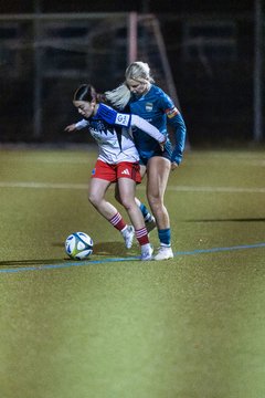 Bild 420 - F SC Alstertal-Langenhorn - Hamburger SV 3 : Ergebnis: 2:2